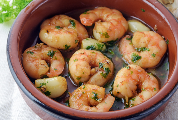 spansk på Studieskolen